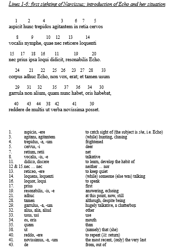 Echo and Narcissus Emma Williams Latin tutor